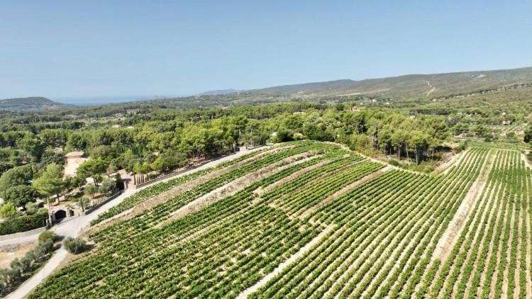 Maison Pipette Pipette Maison Le Castellet  Εξωτερικό φωτογραφία
